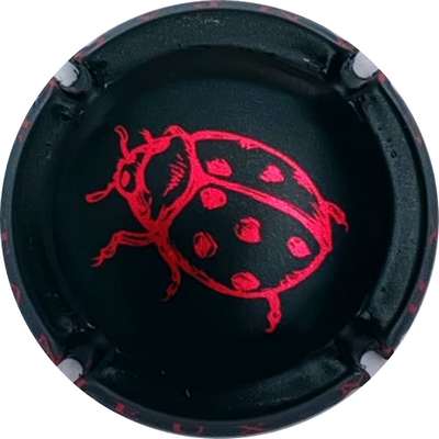 N°43 Coccinelle, noir mat et rouge métallisé
Photo Christophe LELU
