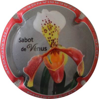 N°44 Sabot de Vénus, gris, contour rouge
Photo Jacques GOURAUD
