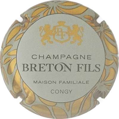 N°44 Contour or et gris clair
Photo Jacky Michel
