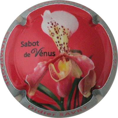 N°44a Sabot de Venus, rouge, contour gris
Photo Jacques GOURAUD
