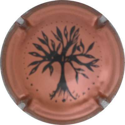 N°46f Cuivre et noir, arbre
Photo Jacques GOURAUD
