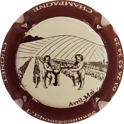 N°48 L'ébourgeonnage, contour marron
Photo Christophe LELU
