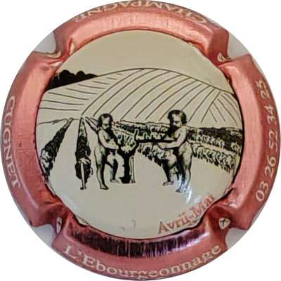 N°48b L'ébourgeonnage, contour rosé
Photo Christophe LELU
