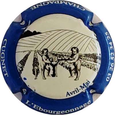 N°48d L'ébourgeonnage, contour bleu
Photo Christophe LELU
