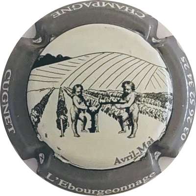 N°48e L'ébourgeonnage, contour gris
Photo Christophe LELU
