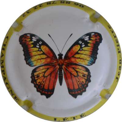 N°58c Papillon, contour jaune
Photo Jacques GOURAUD
