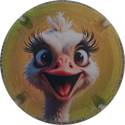 N°79c Autruche
Photo Christophe LELU
