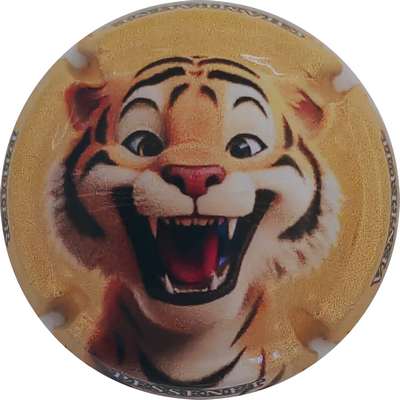 N°79e Tigre
Photo Christophe LELU
