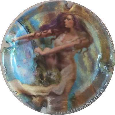 N°90a
Photo Joëlle MENNERET
