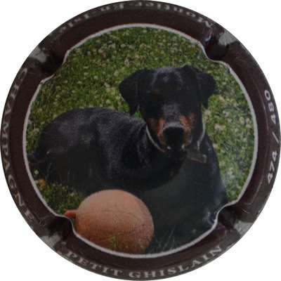 N°NR Chien, contour marron, 480 expl
Photo Jacques GOURAUD
Mots-clés: NR