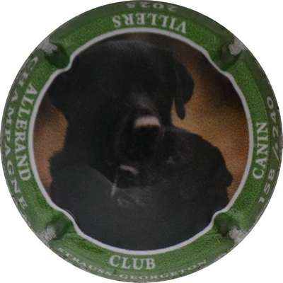 N°NR Club canin Villers Allerand, chien, contour vert, 240 expl
Photo Jacques GOURAUD
Mots-clés: NR