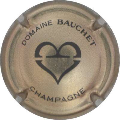 N°NR Domaine BAUCHET, or et noir
Photo Jacques GOURAUD
Mots-clés: NR