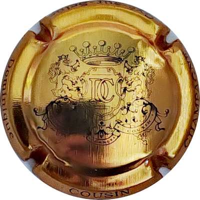 N°NR Or-jaune et noir
Photo Christophe LELU
Mots-clés: NR