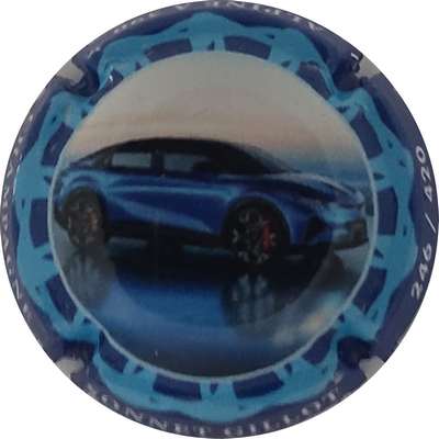 N°NR Alpine, contour bleu clair et bleu foncé, 540 expl
Photo Joëlle MENNERET
Mots-clés: NR