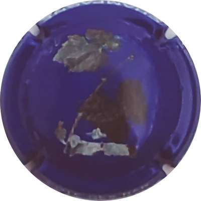 N°NR Grappe au centre, Feuille et grappe, fond bleu foncé et gris
Photo Christophe LELU
Mots-clés: NR