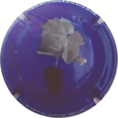 N°NR Feuille et grappe, fond bleu et gris foncé
Photo Christophe LELU
Mots-clés: NR