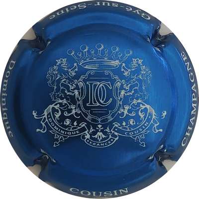 N°NR Bleu métallisé et blanc
Photo Christophe LELU
Mots-clés: NR