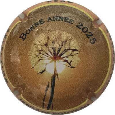 N°NR AG de l'AP35, bonne année 2025
Photo Bruno HEBMANN GONTIER
Mots-clés: NR