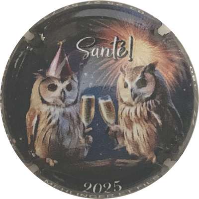 N°NI Bonne année 2025, 480 expl
Photo Bruno HEBMANN GONTIER
Mots-clés: NR