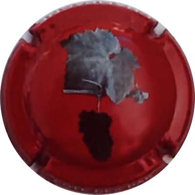 N°NR Feuille et grappe, fond bordeaux et gris foncé
Photo Christophe LELU
Mots-clés: NR