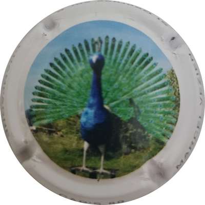 N°264aCap's 89, Paon, vert et bleu
Photo Joëlle MENNERET
