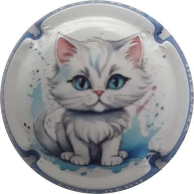 N°404d Chaton, contour bleu
Photo France Marie
