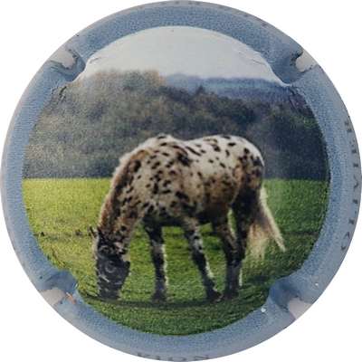 N°NR Cheval, contour gris
Photo Joëlle MENNERET
Mots-clés: NR