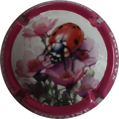 N°NR Série coccinelle, contour rose foncé
Photo Joëlle MENNERET
Mots-clés: NR