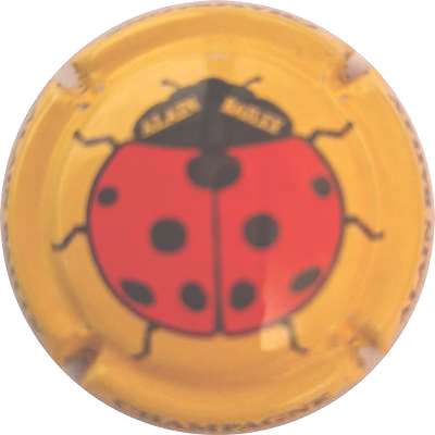 N°42j Jaune et noir, coccinelle avec des pattes
Photo Didier LAMOUR
