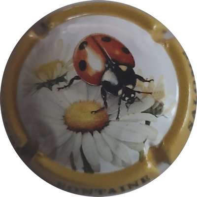 N°NR Série coccinelle, contour jaune
Photo Joëlle MENNERET
Mots-clés: NR