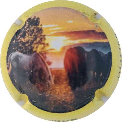 N°NR Cheval, contour jaune
Photo Joëlle MENNERET
Mots-clés: NR