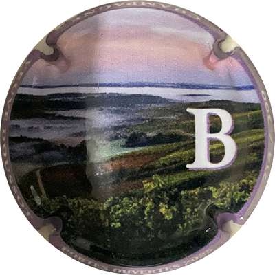 N°NR B, contour Lilas, 300 expl
Photo Bruno HEBMANN GONTIER
Mots-clés: NR