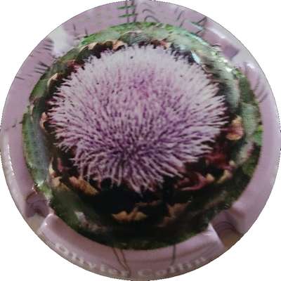 N°NR Fleur, contour mauve
Photo Joëlle MENNERET
Mots-clés: NR