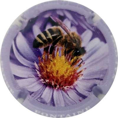 NR Série de 6 (Abeille), contour mauve
Photo Joëlle MENNERET
Mots-clés: NR