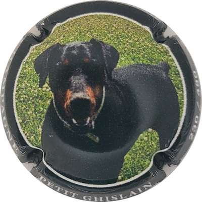 N°NR Chien, contour noir, 480 expl
Photo Joëlle MENNERET
Mots-clés: NR