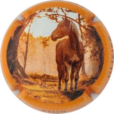 N°NR Cheval, contour orange
Photo Joëlle MENNERET
Mots-clés: NR