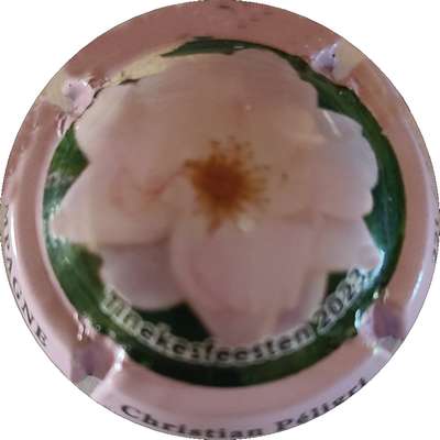 N°23b Fleur, Contour rose
Photo Joëlle MENNERET
