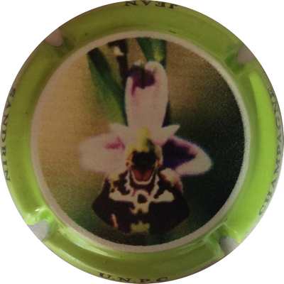 N°22b Orchidée, contour vert
Photo Bruno HEBMANN GONTIER
