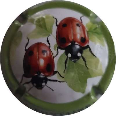 N°NR Série coccinelle, contour vert
Photo Joëlle MENNERET
Mots-clés: NR