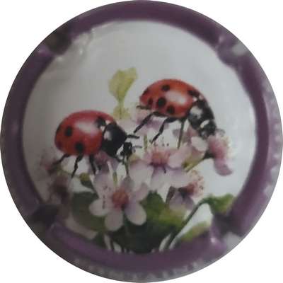 N°NR Série coccinelle, contour bordeaux
Photo Joëlle MENNERET
Mots-clés: NR