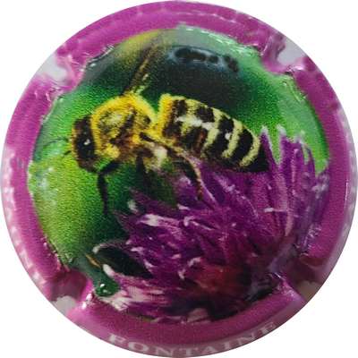 NR Série de 6 (Abeille), contour violet
Photo Joëlle MENNERET
Mots-clés: NR