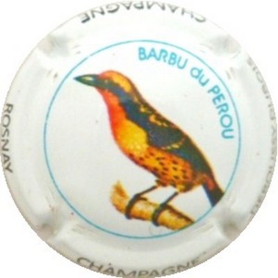 N°09 série de 6 (oiseaux), Barbu du Pérou
Photo J.R.
