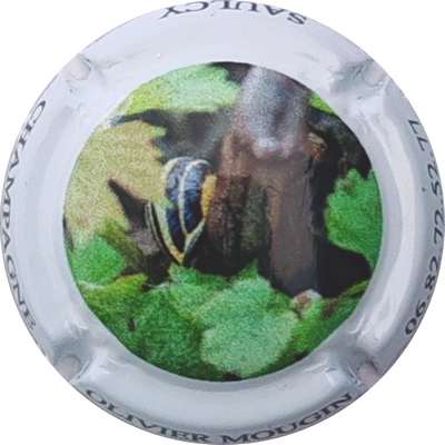 N°NR Série de 6, Escatgot
Photo Christophe LELU
Mots-clés: NR