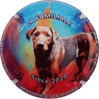 N°NR Since 2020, la familiale, Filou
Photo Christophe LELU
Mots-clés: NR