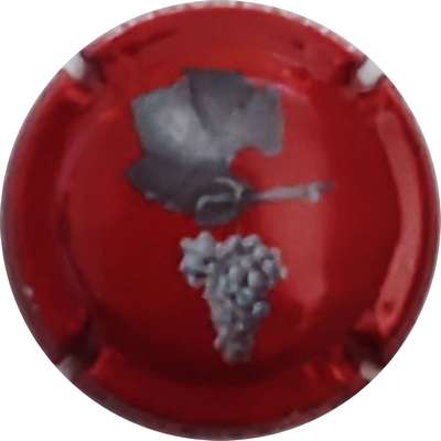 N°NR Feuille et grappe, Fond bordeaux
Photo Christophe LELU
Mots-clés: NR