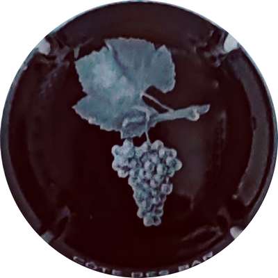 N°NR Feuille et grappe, fond noir
Photo Christophe LELU
