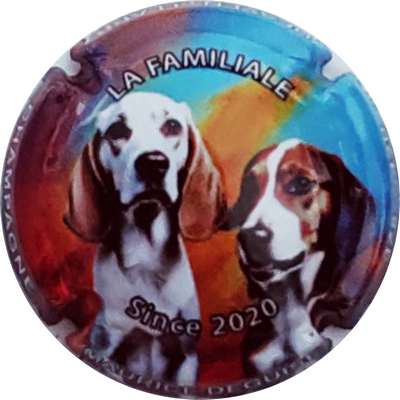 N°NR Since 2020, la familiale, Hearven et Larry
Photo Christophe LELU
Mots-clés: NR