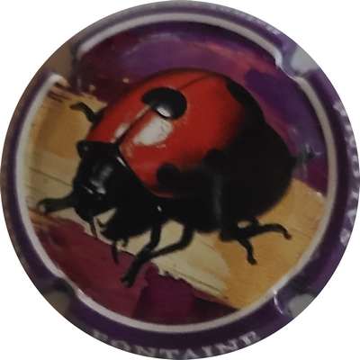 N°NR Série coccinelle, Jéroboam
Photo Joëlle MENNERET
Mots-clés: NR