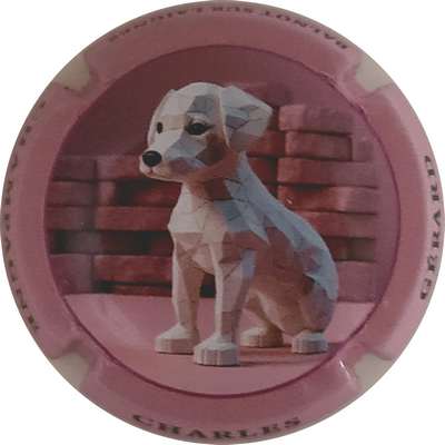 N°NR Jéroboam, chien, contour rose
Photo Joëlle MENNORET
Mots-clés: NR