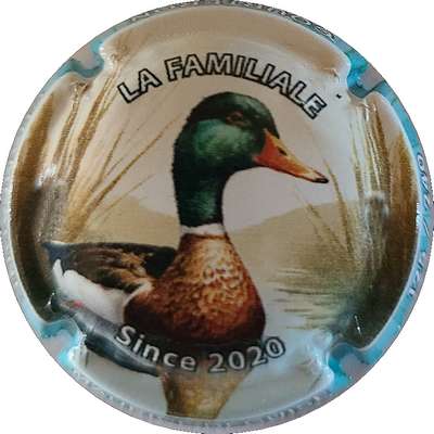 N°127b La Familliale, since 2020, Canard
Photo Joëlle MENNERET
